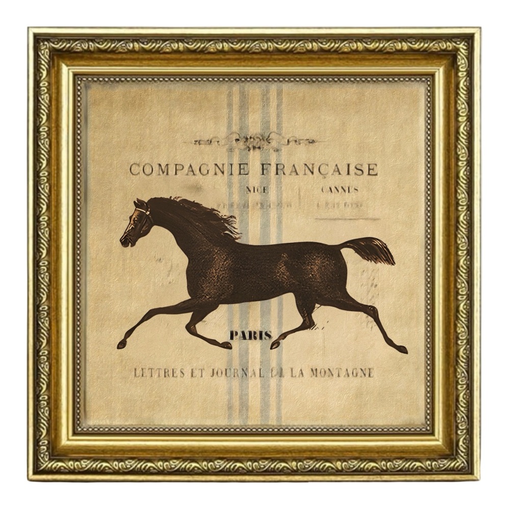 Vintage Equine Framed Illustration